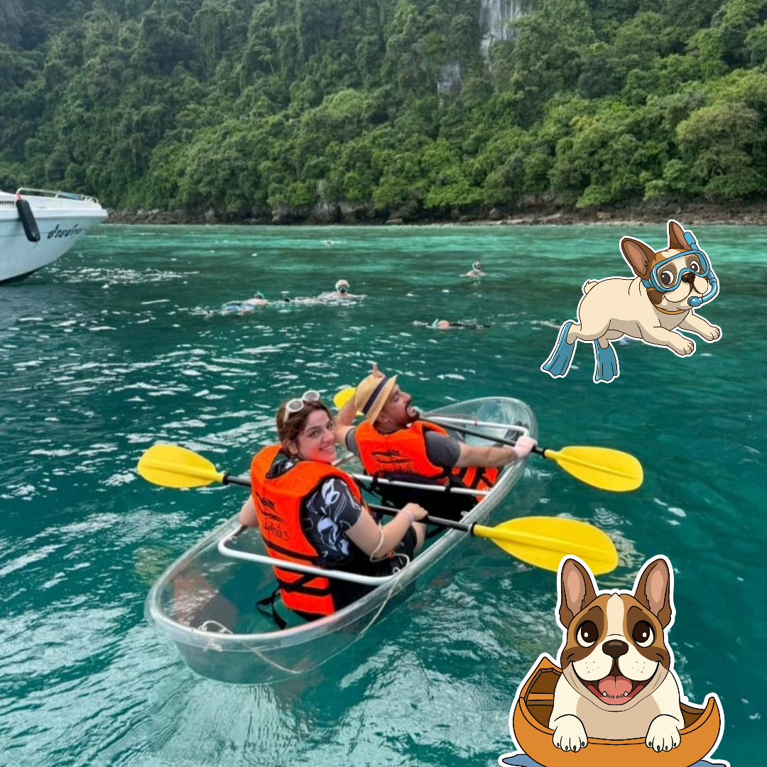 VALUE PACKAGE - SINGLE                 🛥Phi Phi Island Day Tour 

👀 Perfect for younger travellers on a budget!!!