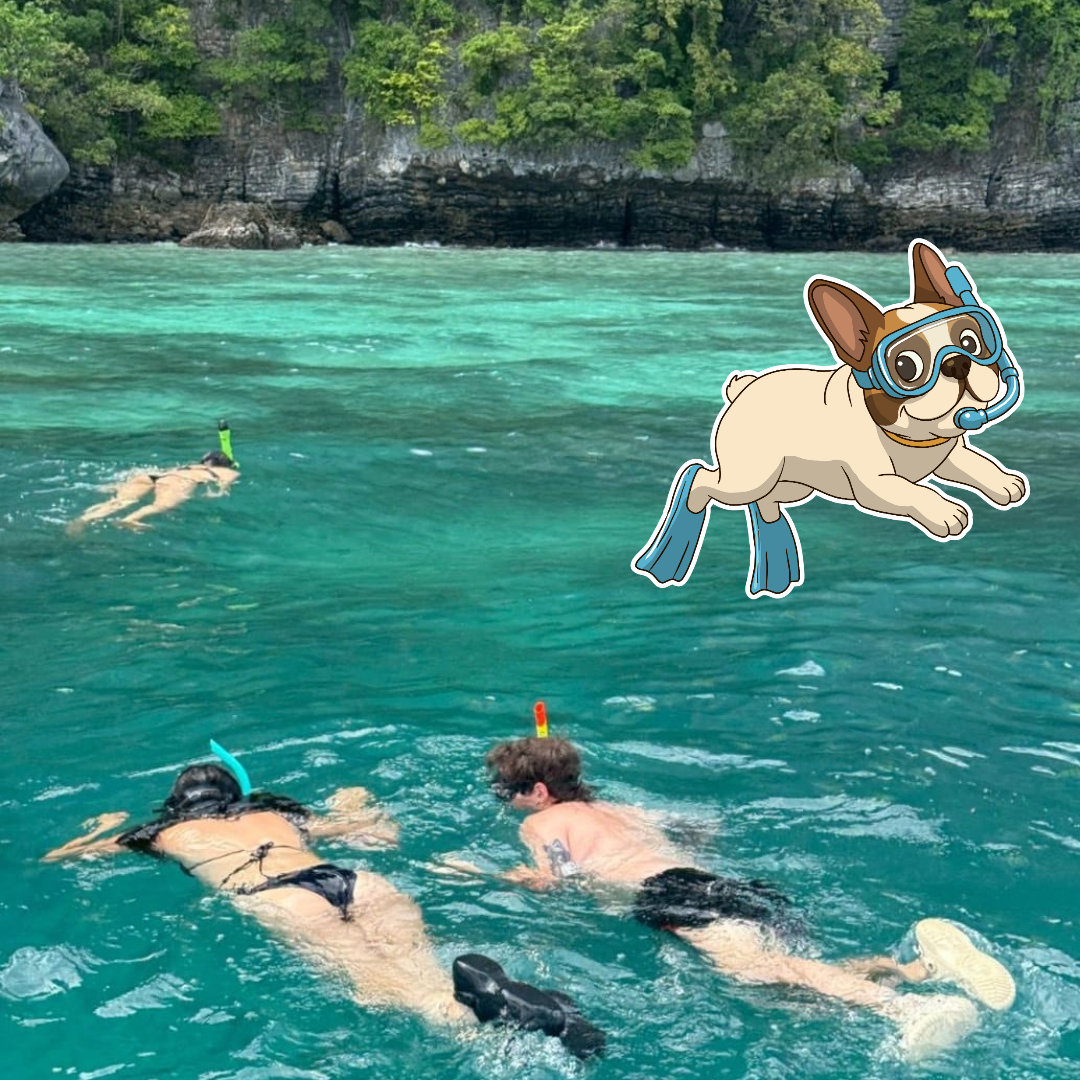 VALUE PACKAGE - SINGLE                 🛥Phi Phi Island Day Tour 

👀 Perfect for younger travellers on a budget!!!