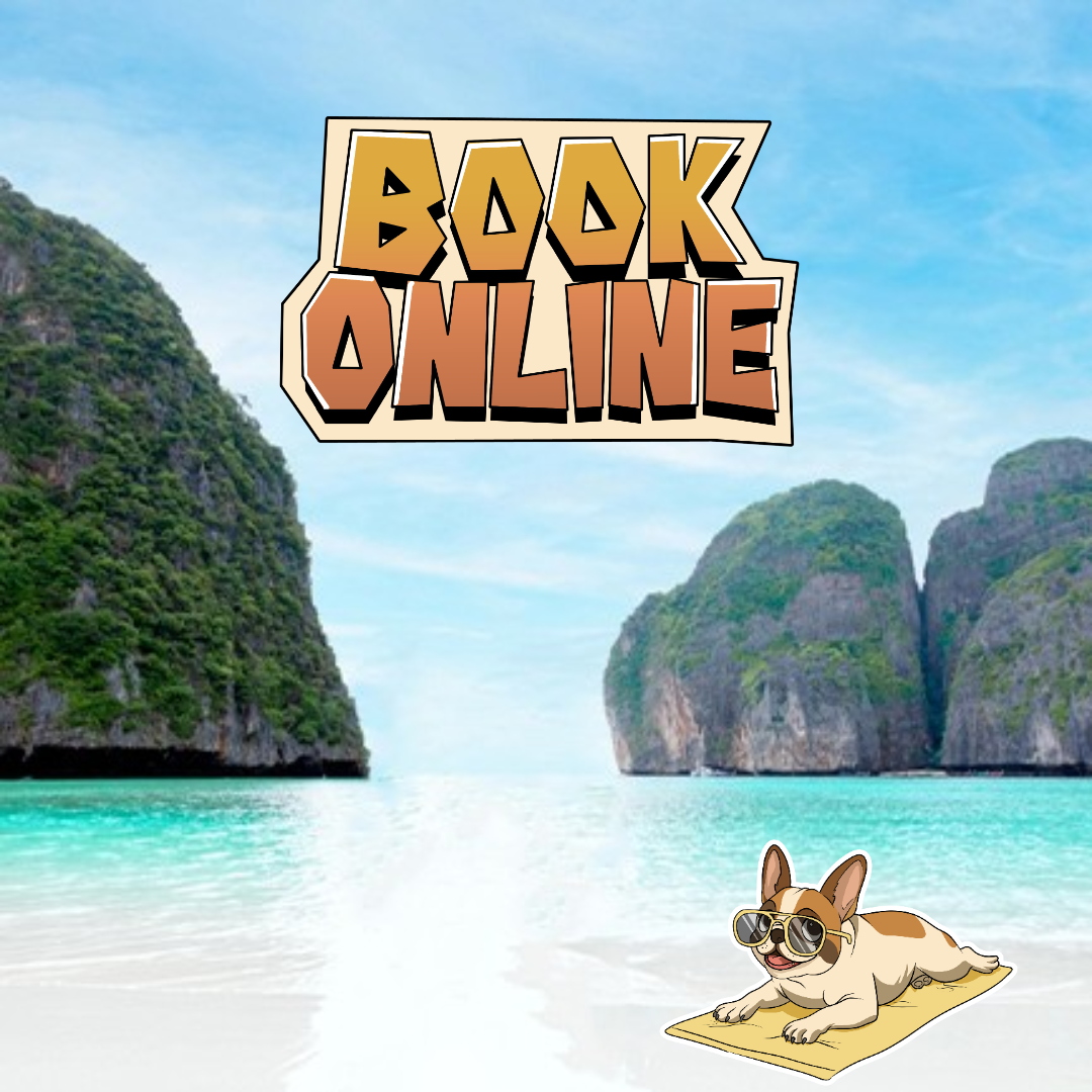 ELITE PACKAGE - SINGLE                        🛥Phi Phi Island Day Tour 

♠️BEST for Travellers looking for a First Class experience