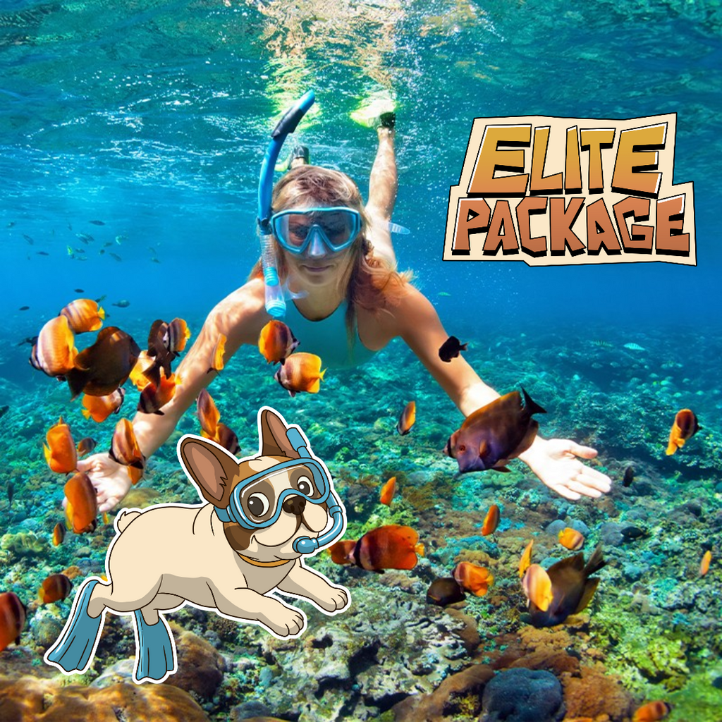 ELITE PACKAGE - SINGLE                        🛥Phi Phi Island Day Tour 

♠️BEST for Travellers looking for a First Class experience