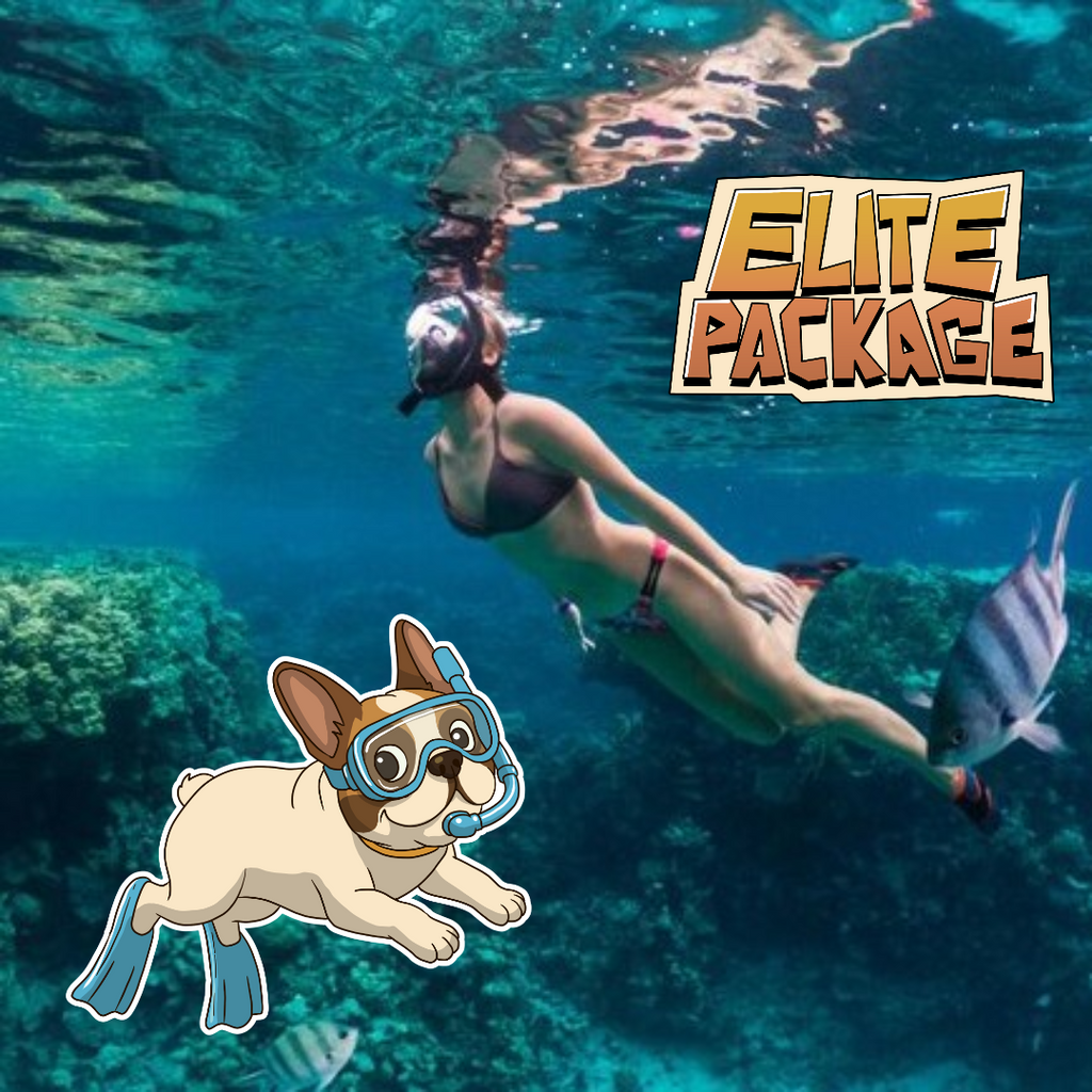 ELITE PACKAGE - SINGLE                        🛥Phi Phi Island Day Tour 

♠️BEST for Travellers looking for a First Class experience