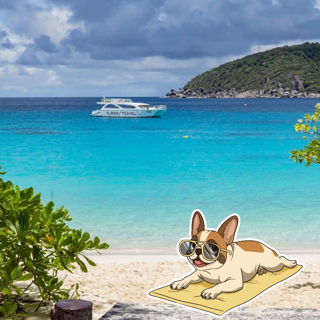 5 STAR LUXURY                           🛥SIMILAN ISLAND TOUR