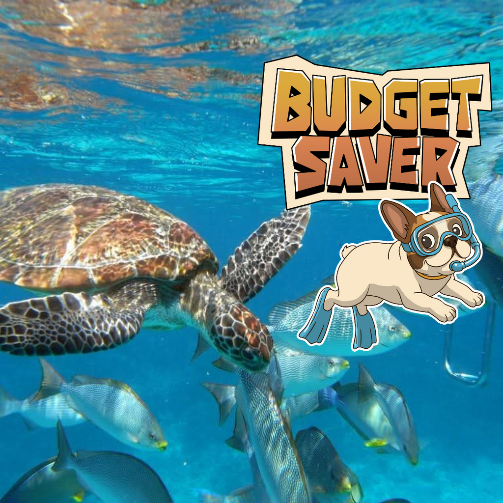 BUDGET SAVER.                           🛥SIMILAN ISLAND TOUR