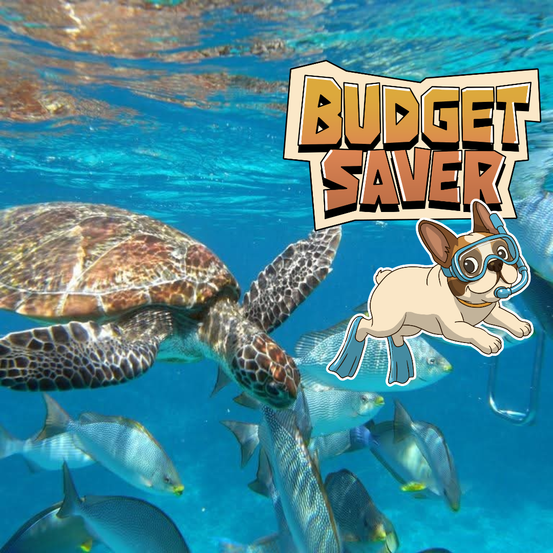 BUDGET SAVER.                           🛥SIMILAN ISLAND TOUR