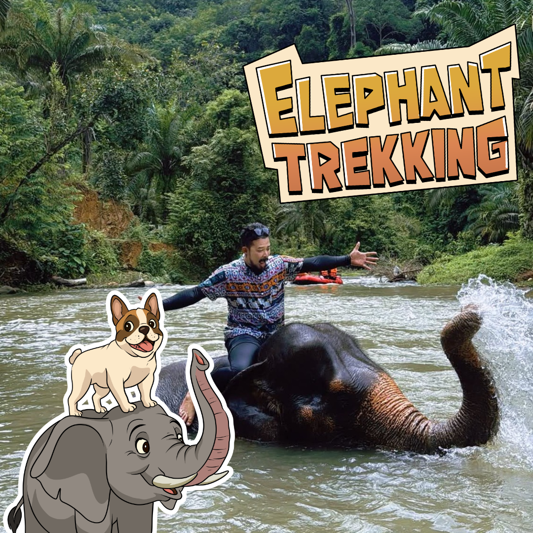 🪖ATV RIDE 30MIN + RAFTING 5.5km + FLYING FOX 200m + MONKEY CAVE + jungle walk to WATERFALL