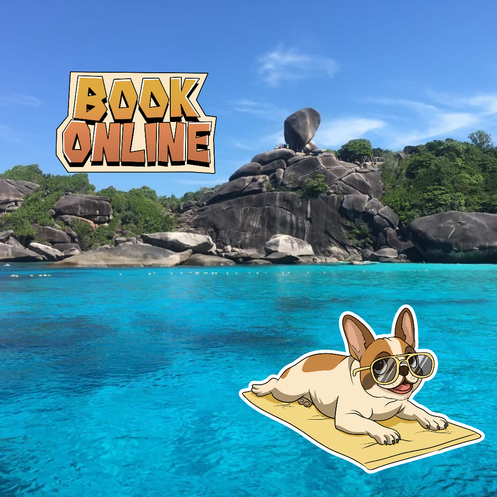 BUDGET SAVER.                           🛥SIMILAN ISLAND TOUR