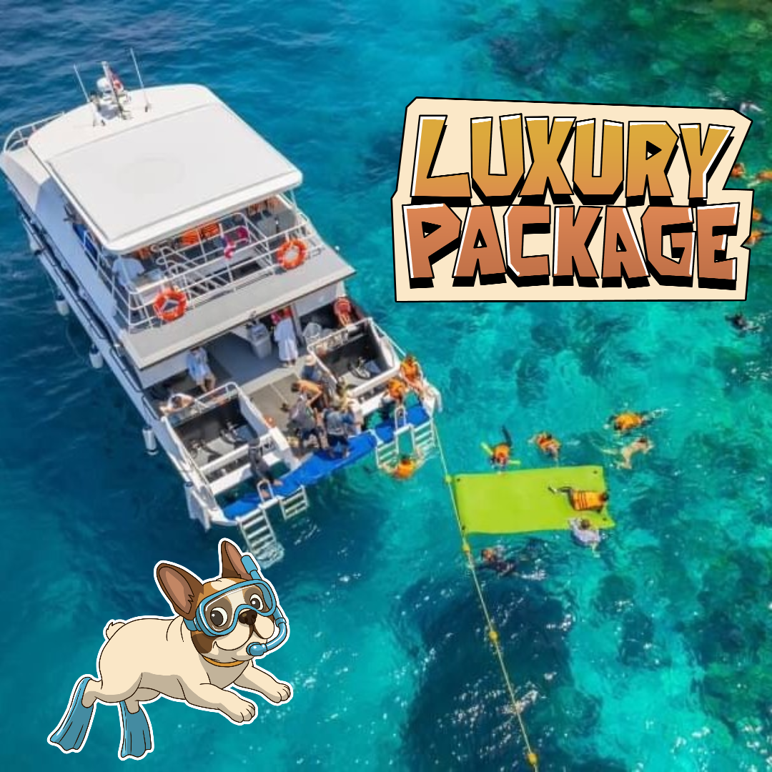 LUXURY PACKAGE - SINGLE                🛥Phi Phi Island Day Tour

⭐️⭐️⭐️⭐️⭐️ 5 Star Tour