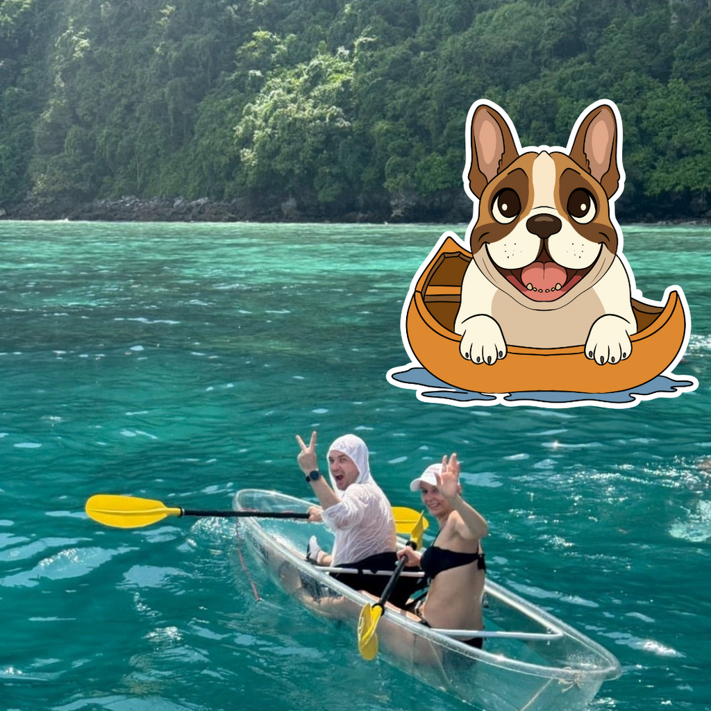 VALUE PACKAGE - SINGLE                 🛥Phi Phi Island Day Tour 

👀 Perfect for younger travellers on a budget!!!