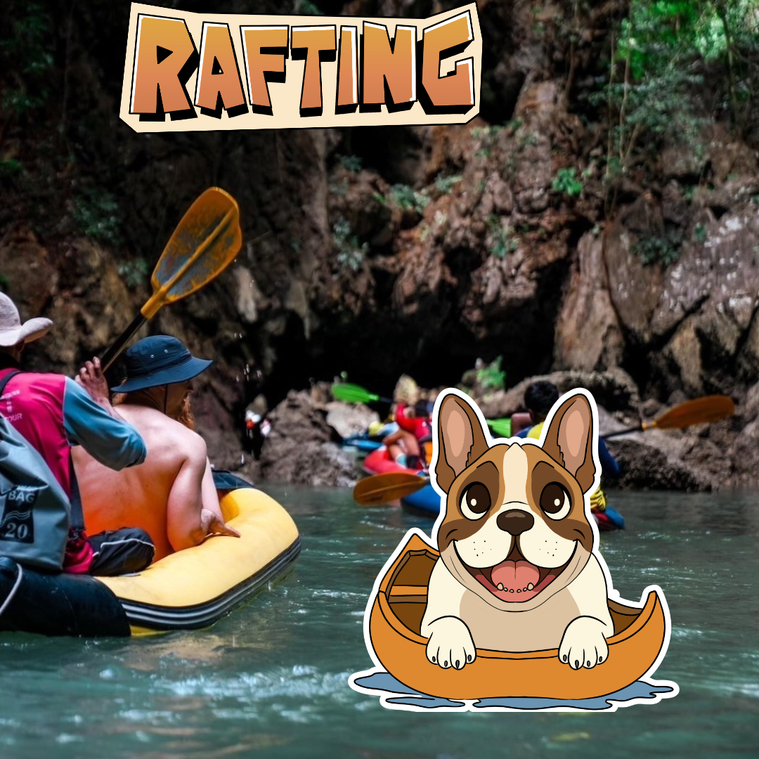 VALUE BIG BOAT CRUISER              🛥James Bond Island Day Tour 

👀 Perfect for younger travellers on a budget!!!