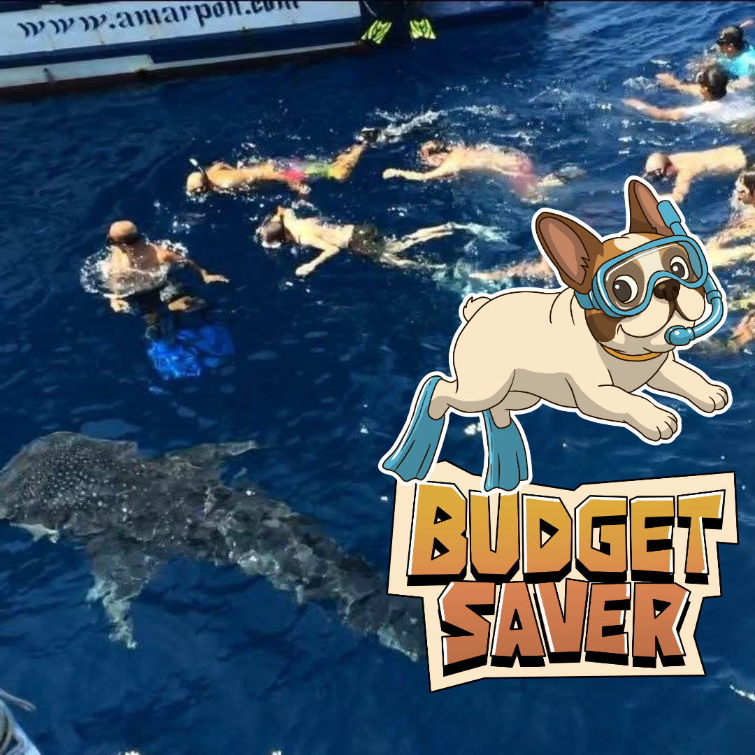 BUDGET SAVER.                           🛥SIMILAN ISLAND TOUR