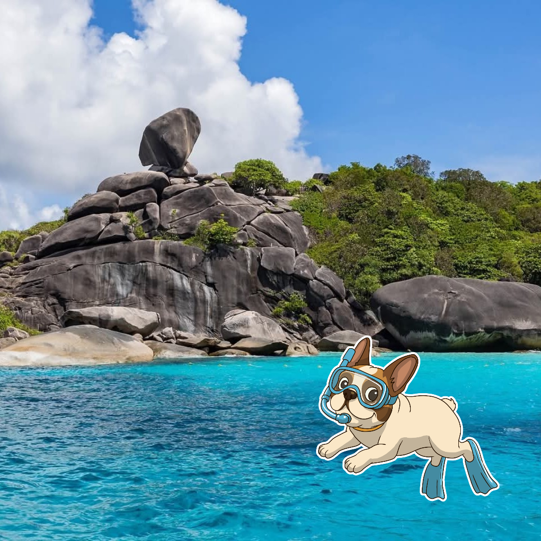 5 STAR LUXURY                           🛥SIMILAN ISLAND TOUR