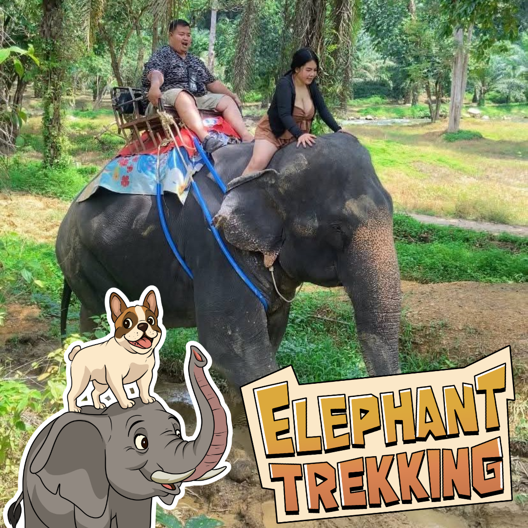 🐘ELEPHANT TREKKING 30mins + whitewater RAFTING + FLYING FOX 200m + MONKEY CAVE + jungle walk to WATERFALL