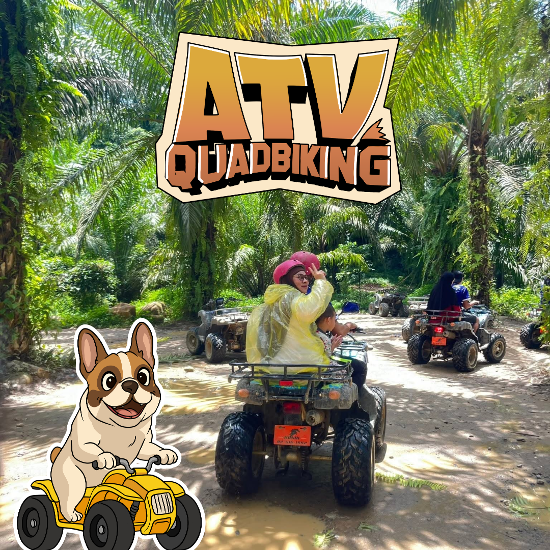 🐘ELEPHANT TREKKING 30 minutes+ ATV jungle ride 30min + RAFTING 5.5km + FLYING FOX 200m + MONKEY CAVE + jungle walk to WATERFALL