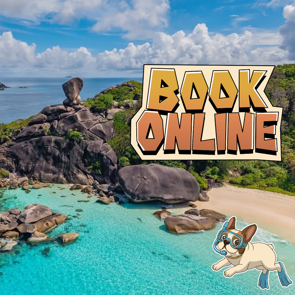 5 STAR LUXURY                           🛥SIMILAN ISLAND TOUR