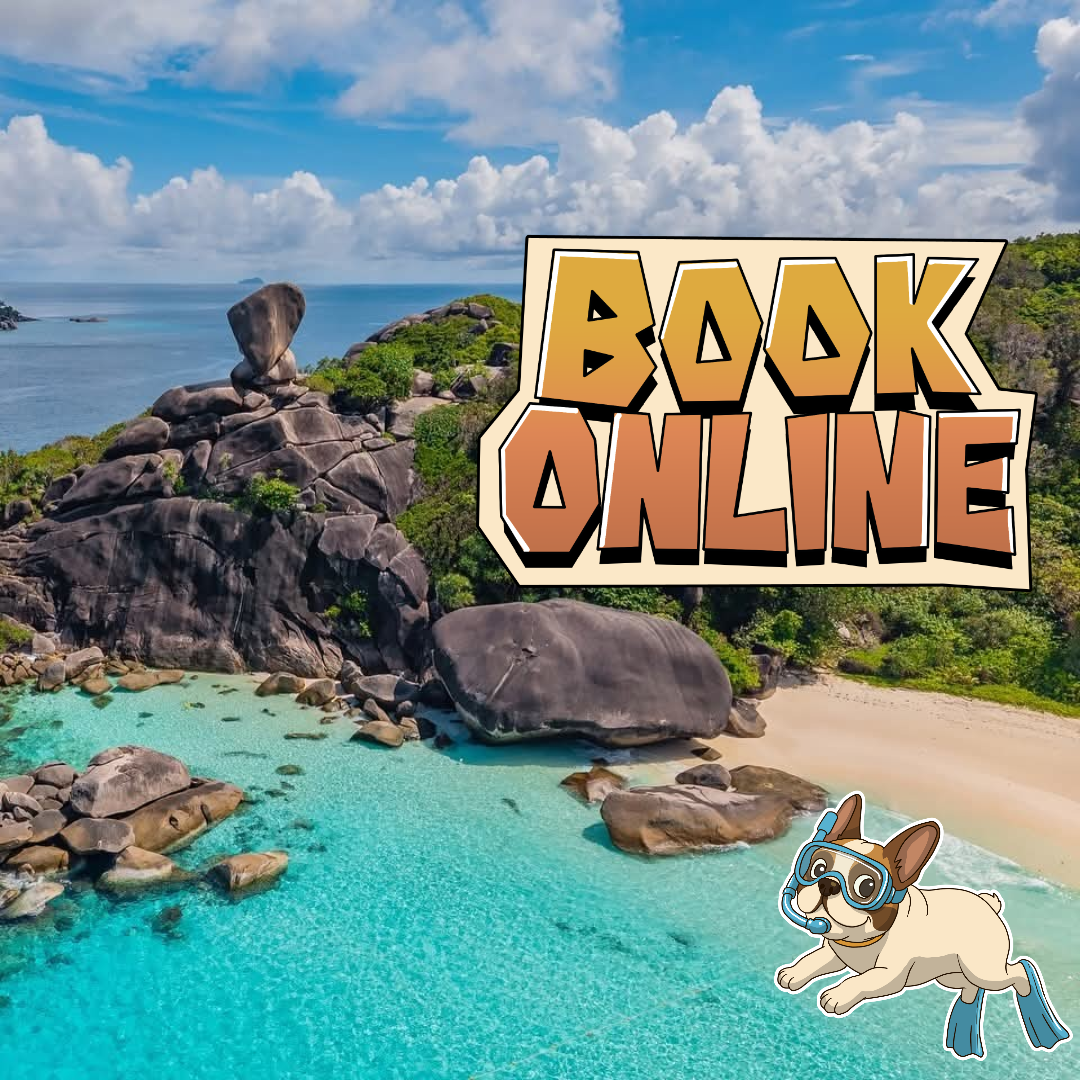 5 STAR LUXURY                           🛥SIMILAN ISLAND TOUR